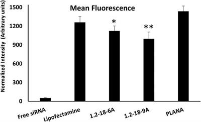 Suppression of Human Coronavirus 229E Infection in Lung Fibroblast Cells via RNA Interference